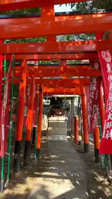 東伏見稲荷神社の鳥居