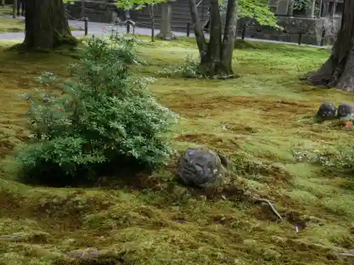 三千院門跡(京都府)