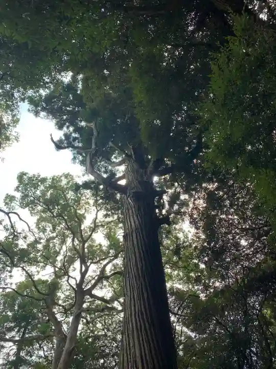 熊野神社(千葉県)