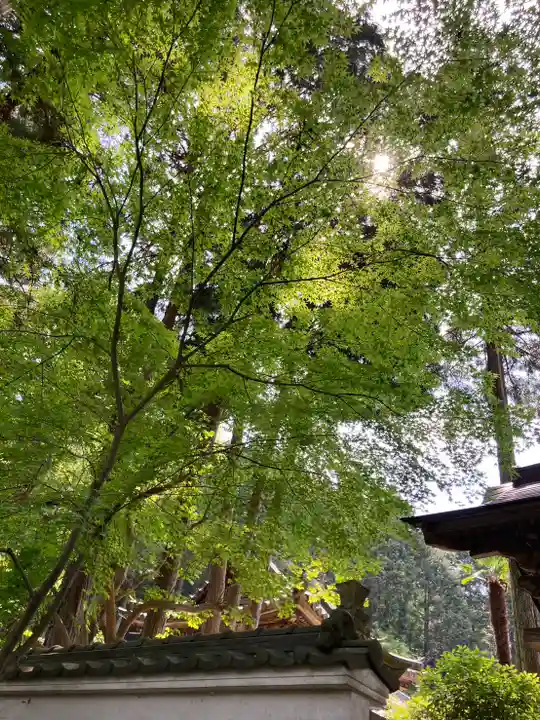 妙巌寺のその他建物