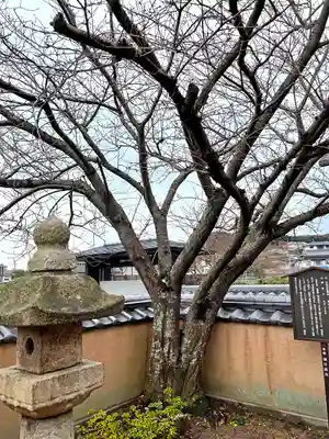 惣社宮(山口県)