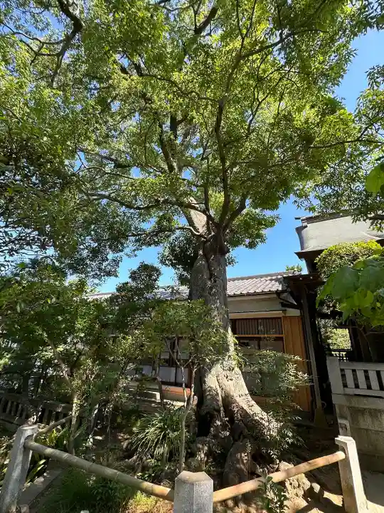 白幡天神社(千葉県)