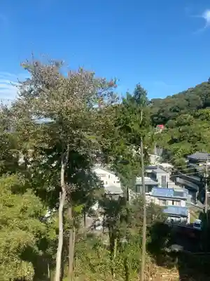 高知県護国神社(高知県)