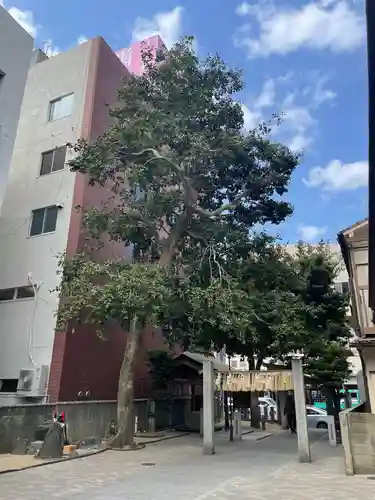 猿田彦神社の建物その他