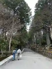 三峯神社(埼玉県)