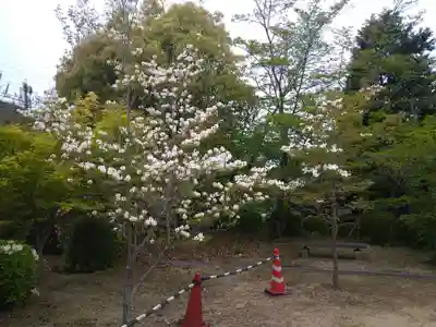 木華佐久耶比咩神社の自然
