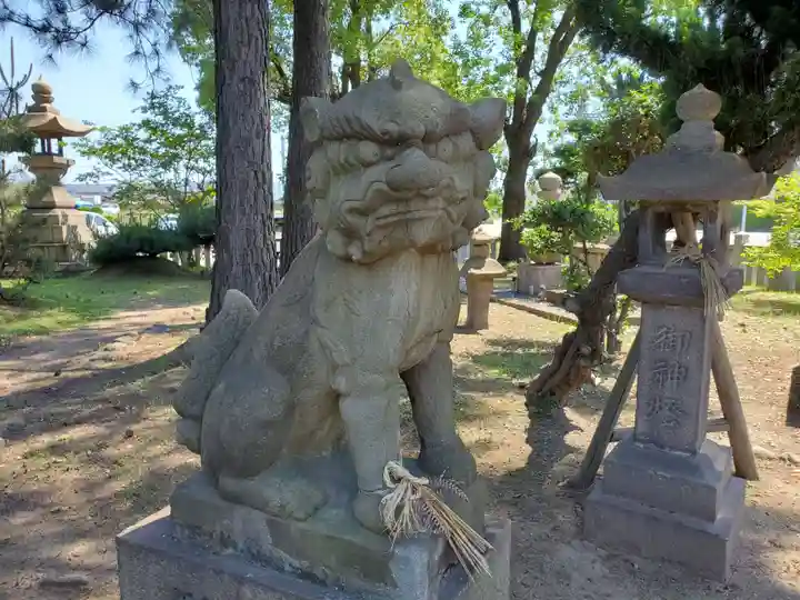 住吉神社の狛犬