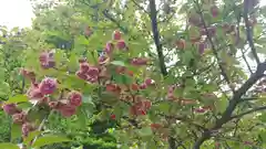 平野神社の芸術