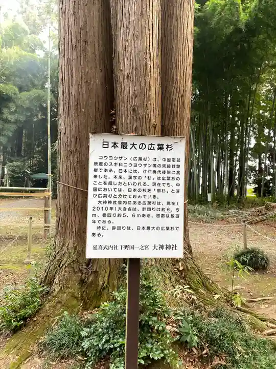 大神神社の自然