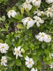 長坂弘法大師の庭園