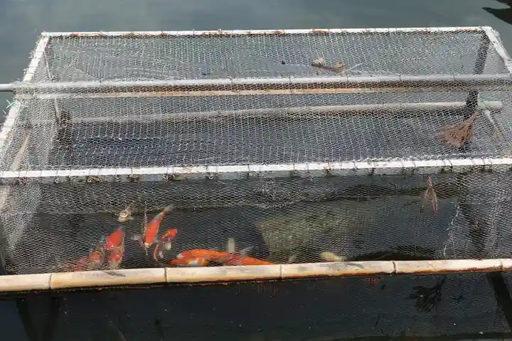 備中国總社(岡山県)