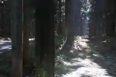 隠津島神社の鳥居