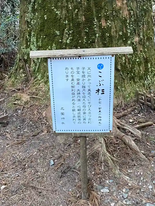 花園神社のその他建物