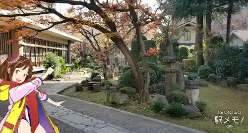 金地院の庭園