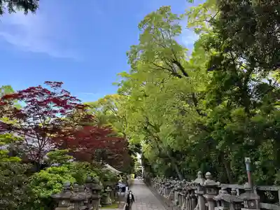 石清水八幡宮(京都府)