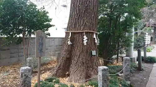 一山神社の自然