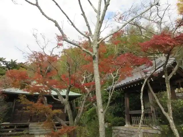 浄光明寺のその他建物