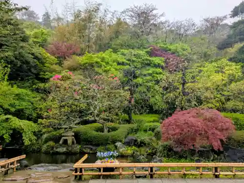 長谷寺の{uncategorized: "未分類", other: "その他", undefined: "問題あり", building: "その他建物", grave: "お墓", sacred_gate: "鳥居", guardian: "狛犬", statue: "像", buddha: "仏像", history: "歴史", nature: "自然", garden: "庭園", animal: "動物", pagoda: "塔", temizu: "手水舎", mountain_gate: "山門・神門", sanctuary: "本殿・本堂", subordinate: "末社・摂社", art: "芸術", scenery: "景色", jizo: "地蔵", ema: "絵馬", goshuin: "御朱印", omikuji: "おみくじ", items: "授与品その他", amulet: "お守り", goshuincho: "御朱印帳", eats: "食事", festival: "お祭り", votive_dance: "神楽", shichigosan: "七五三参", wedding: "結婚式", experience: "体験その他", initially: "初詣", around: "周辺", anti_infection: "感染症対策"}