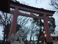 武蔵一宮氷川神社の鳥居