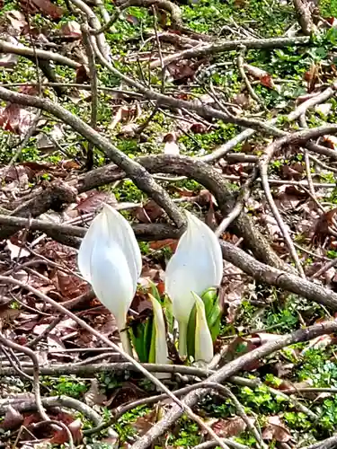 鹿島大神宮(福島県)