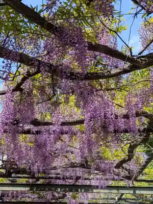 國領神社(東京都)