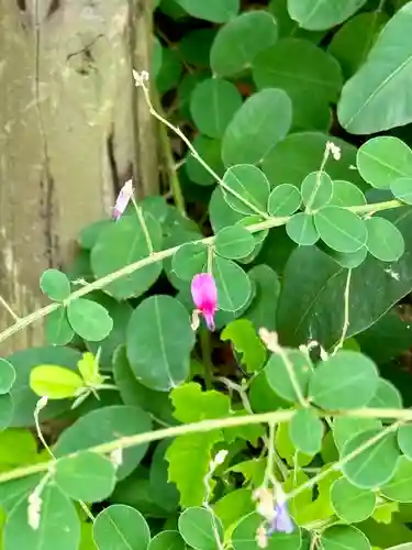 天得院(京都府)