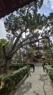 大徳寺(京都府)