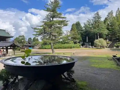 井波別院瑞泉寺の建物その他