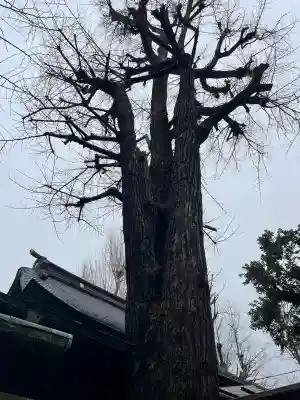 橋戸稲荷神社(東京都)
