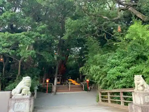 來宮神社の狛犬