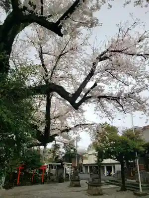 本郷氷川神社(東京都)