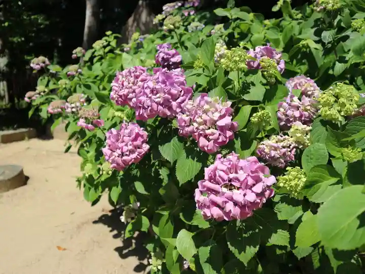 敏馬神社のその他建物