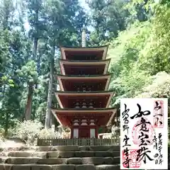 室生寺の塔