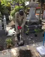 總社 和田八幡宮(福井県)