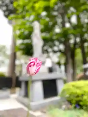 大雄寺(長野県)