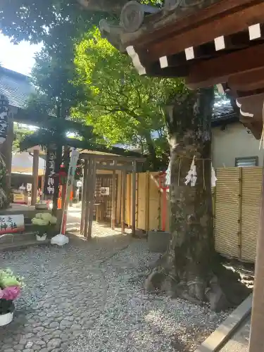 蛇窪神社(東京都)