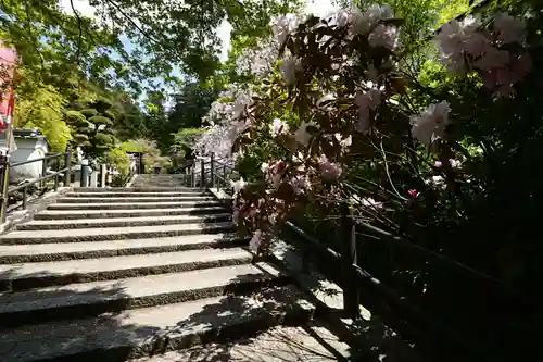 岡寺（龍蓋寺）(奈良県)