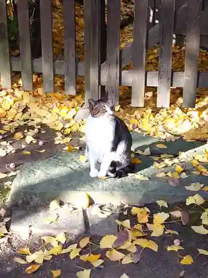 阿邪訶根神社(福島県)