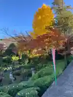 西光寺(神奈川県)