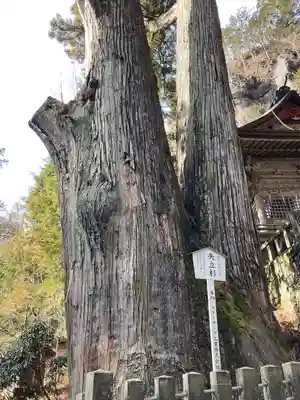 榛名神社(群馬県)