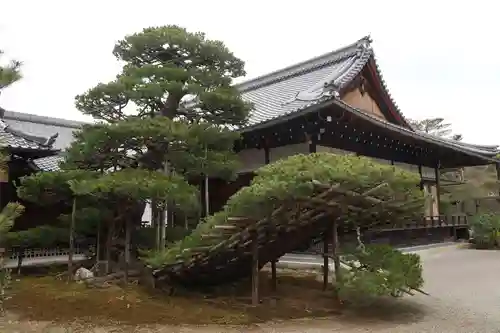 鹿苑寺（金閣寺）(京都府)