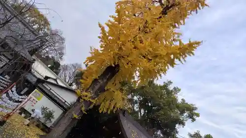 平野神社(京都府)