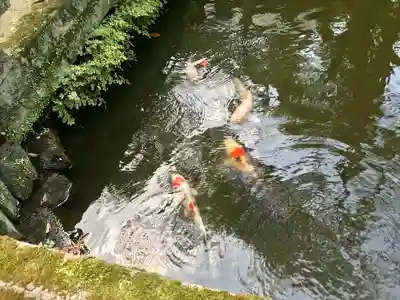 祓所神社(静岡県)