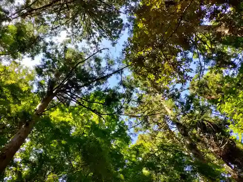 氣多大社の自然