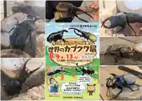 金蛇水神社(宮城県)