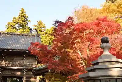高尾山薬王院(東京都)