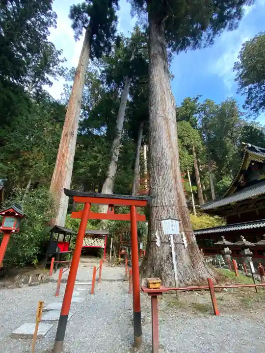 日光二荒山神社(栃木県)