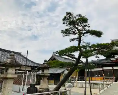 観音寺のその他建物