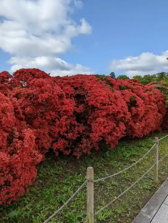 長岡天満宮(京都府)