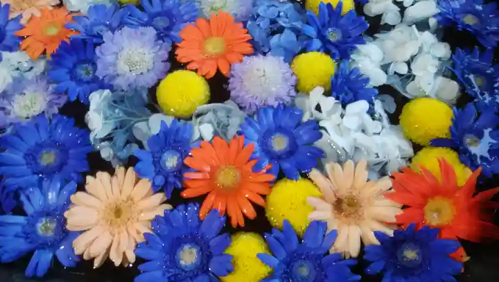 月寒神社の手水舎